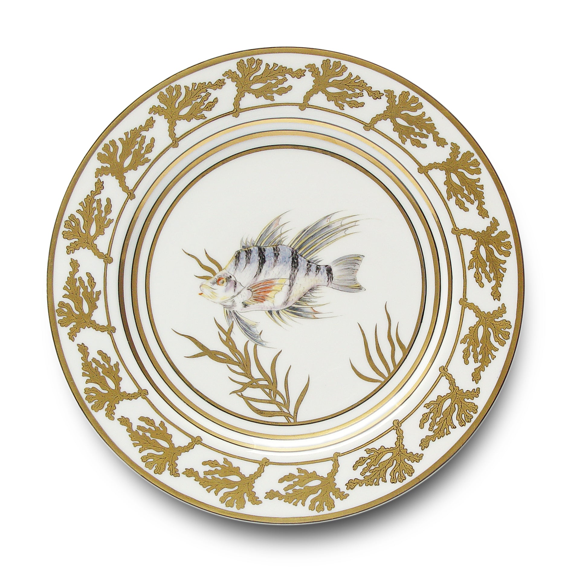 Or des Mers - Buffet plate 06