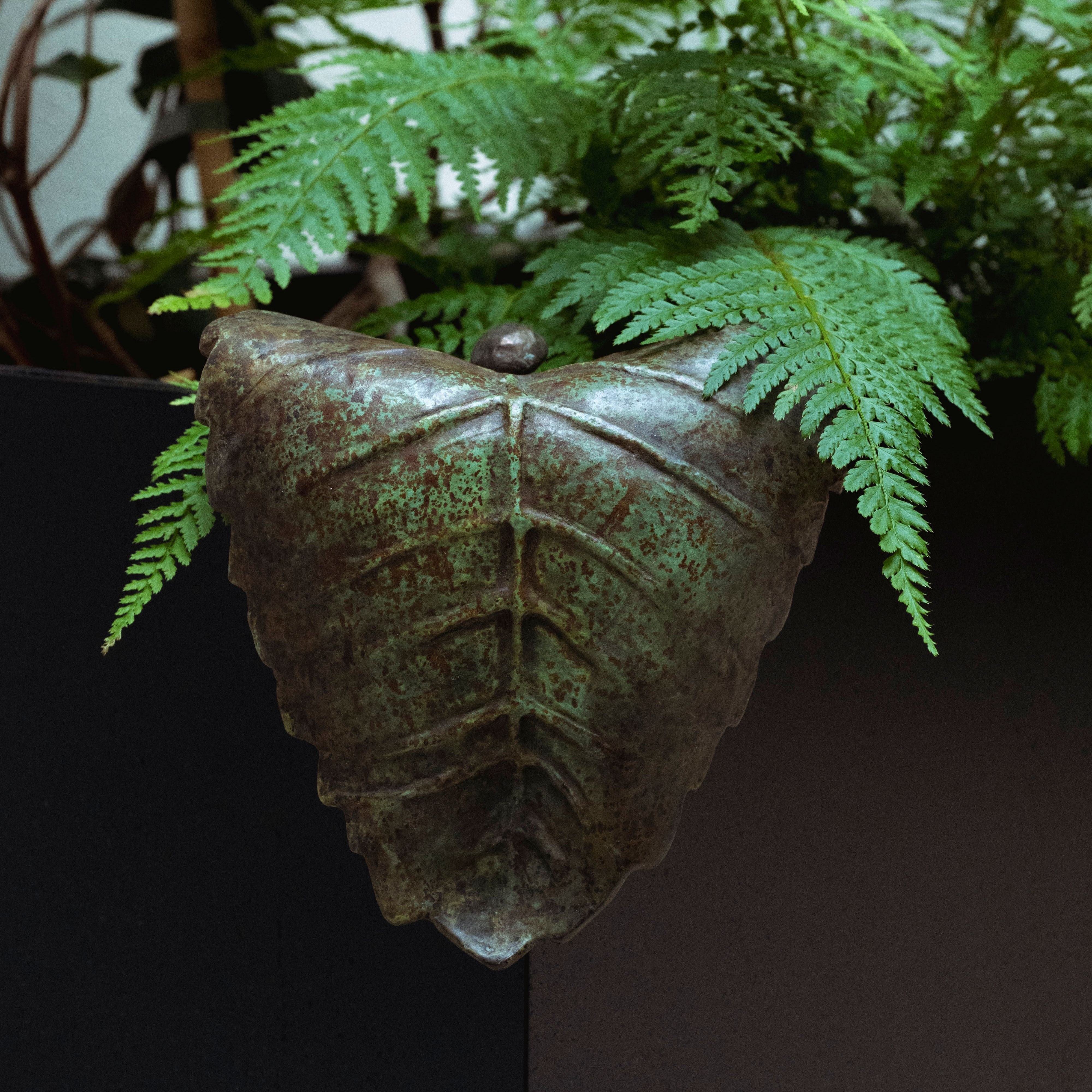 Feuilles en bronze